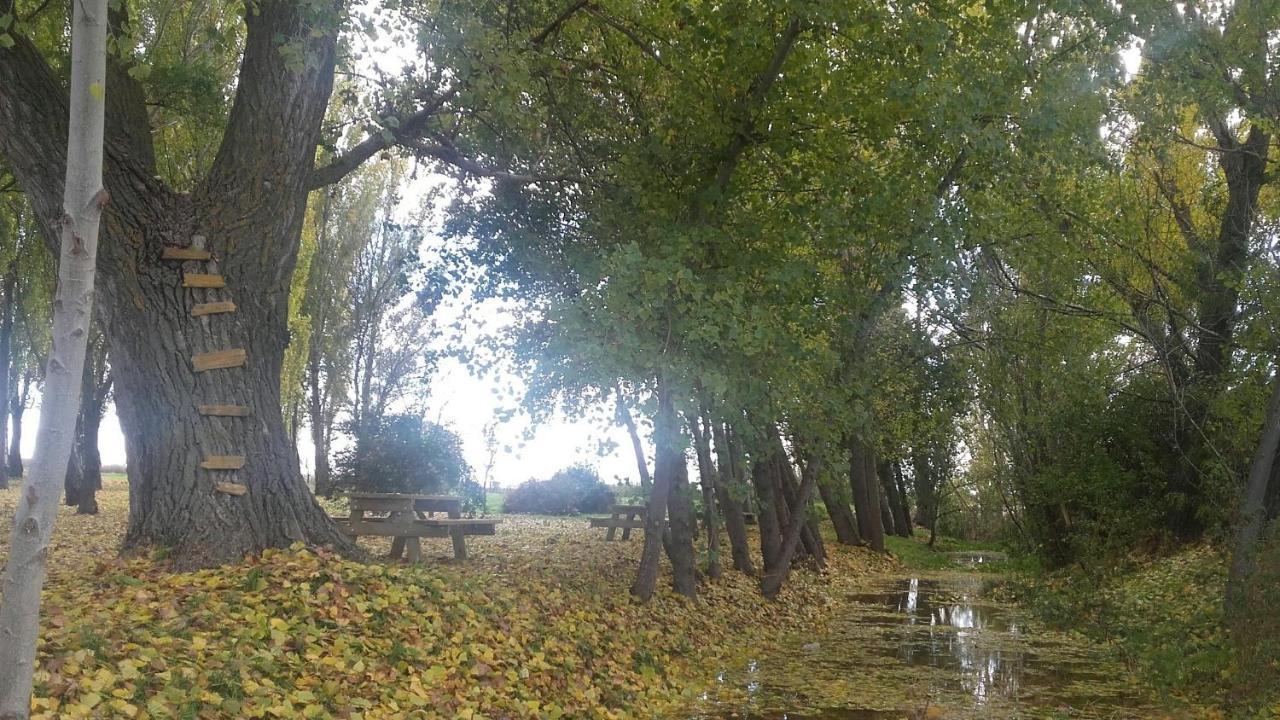 El Molino Βίλα Nieva  Εξωτερικό φωτογραφία